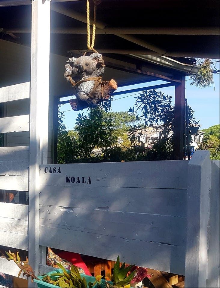 Casa Koala — vue 2